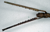 CollectionObject 1558179; NMW 869', d553eec1-147f-4418-9c41-cbc91257ac34: copyright NHMW, Vienna. female: head and forelegs of synonym Acrophylla aliena (paralectotype) [a misidentified example of Ctenomorpha marginipennis]. (CollectionObject).