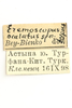CollectionObject 1478666; 403fae03-4a4a-4a9b-b0c1-8d505e8a0535: labels (holotype). (CollectionObject).