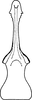 Aedeagus, ventral view on Arboridia (Arboridia) zhenyuana Song & Li, 2013: ventral view. (Observation).