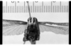 CollectionObject 1535589; 83159e27-f8ab-4dc1-bac9-a5e71cc64255: Image Carbonell, C.S.C. female, frontal view (holotype of Zoniopoda picta). (CollectionObject).