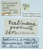 CollectionObject 1585215; 611da6af-e98e-46df-97df-1416321872b9: labels. (CollectionObject).
