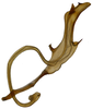 Aedeagus, lateral view on Andanus sordidus (Lozada, 1998): (Observation).