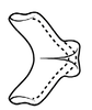 Connective on Coarctana rana (DeLong & Wolda, 1982): Male [DZUP]: connective, dorsal view. (Observation).