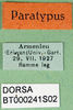 CollectionObject 1564693; ae8af461-4e78-4876-ab10-1ac56597187a: labels (syntype). (CollectionObject).