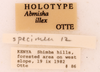 CollectionObject 1522886; fc867b71-6f56-44cf-8576-18718d26c726: Male labels (holotype). (CollectionObject).