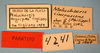CollectionObject 1514666; 30f99fbe-2629-48b1-93c8-0fe560c74dba, MLP4241': labels (paratype). (CollectionObject).