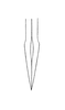 Palpigera borellii (Giglio-Tos, 1897): Pl. 5, Fig. 5. ovipositor, dorsal outline of apex. (Otu).