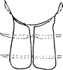 Abdomen, sternal apodemes, ventral view on Empoasca (Empoasca) zapoides Ross, 1959: Sternal apodemes. (Observation).