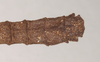 Pylaemenes borneensis (Bragg, 1998): copyright Natural History Museum, London. male: end of abdomen, dorsal view (paratype). (Otu).