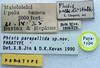 CollectionObject 1596006; f1796cfc-e1f7-435b-bde1-5829dfb5daf9: labels (paratype). (CollectionObject).
