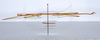 CollectionObject 1559627; d9fb0b3b-ee4b-494f-8255-0a1cfa4f92a7: copyright ANSP. male, lateral view (holotype). (CollectionObject).