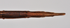 CollectionObject 1558581; 5094e634-967d-4141-83cf-733a7e174ce9: copyright NTUC. female: end of abdomen, ventral view (syntype). (CollectionObject).;CollectionObject 1558582; 20db8149-d18d-4462-8167-11f604b61075: copyright NTUC. female: end of abdomen, ventral view (syntype). (CollectionObject).