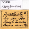 CollectionObject 1538341; 6044b1a1-8d5b-4988-9062-ebcd32365d3e: labels. (CollectionObject).
