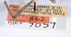 CollectionObject 1561385; fa06fa7b-f04b-40ad-9af3-c2afaba9951f: copyright ANSP. female, data labels (holotype). (CollectionObject).
