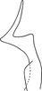 Stylus: Stylus (holotype). (Observation).