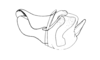 Tropidostethus angusticollis (Blanchard, 1851): Fig. 173. cingulum and endophallus, lateral view. (Otu).