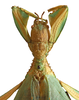 CollectionObject 1561208; da22c0d4-b4ee-4e89-b780-674bde3aa142, NMW 299: © NHMW, NOaS Image Collection; with permission. female, head & thorax dorsal view (syntype). (CollectionObject).