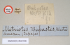 CollectionObject 1560490; faf21d13-87ac-4b01-993a-d203a4851e5e: copyright Natural History Museum, London. female, data labels (holotype). (CollectionObject).