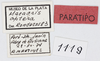 CollectionObject 1564949; 3997081e-b12e-40ca-8793-ff750cc75446, MLP1118/3-11': labels (paratype). (CollectionObject).