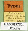 CollectionObject 1501630; fd8fc6d4-ecb3-4dd9-86f3-0e0af225955e, DORSA BA000137S01: labels (holotype). (CollectionObject).