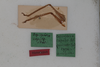 CollectionObject 1505689; 5dfb6dee-135d-4e8b-879a-ba453785f1e5: male, labels (syntype). (CollectionObject).