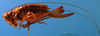 CollectionObject 1502479; 3d2c5a6d-d6ae-4e61-932a-e5bb412a59ea: female, lateral view (paratype). (CollectionObject).