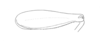 Ceuthophilus (Geotettix) alpinus Scudder, 1894: Fig. 501. male, caudal femur. (Otu).