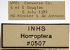 Other on Athysanella (Athysanella) kadokana Knull, 1951: Labels - Female. (Observation).