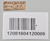 CollectionObject 1558564; 3ae685c8-f1c6-4bd0-85f7-d0b8fa72a781: copyright NTUC. (CollectionObject).;CollectionObject 1558565; b09dd22e-7f33-4771-b1d9-24d893a97422: copyright NTUC. (CollectionObject).
