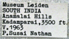 CollectionObject 1516549; cc98ae32-cd05-48d4-ab29-53e57a7a16ff: male label (paratype). (CollectionObject).