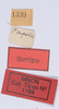 CollectionObject 1535392; a28192d8-74e1-4d78-9977-11e748716a2d: labels (syntype). (CollectionObject).