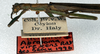 CollectionObject 1556925; 81383a3b-b03b-473e-9dd6-8fd337866f57: copyright NMW. male: head and thorax, lateral view (lectotype). (CollectionObject).