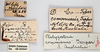 CollectionObject 1863288; 98dcf600-8eb9-4b76-a6c6-902bbfb2bfc9: (CollectionObject).