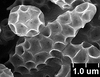 Brochosomes: CR782 | U.S.A., Arizona, Mojave Co., Dolan Springs, Rakitov R. [#02-71], 10-VIII-2002 | INHS. (Observation).