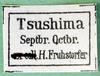 CollectionObject 1501928; cd823984-0bbf-47e7-9c0d-a6d4b958348b: female, label. (CollectionObject).
