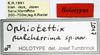 CollectionObject 1581854; 43eed837-b4c5-4512-a4ec-63f693b7ec20: male, labels (holotype). (CollectionObject).