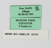 CollectionObject 1588728; fad66605-45b4-45a6-b23d-c34c4a85f4b4: labels. (CollectionObject).