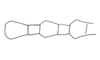 Aptoceras punctipes Descamps, 1981: Fig. 62. fragment of antenna. (Otu).