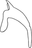 Aedeagus, lateral view: Aedeagus (E. vulnerata Fitch), lateral view. (Observation).