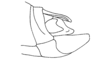 Adelacris atrocephala (Bruner, 1908): Fig. 36. male abdomen tip, lateral view. (Otu).
