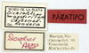 CollectionObject 1565744; 7d8054e7-b956-4a22-bd0c-11f92453cbd9: labels (paratype). (CollectionObject).