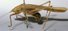 CollectionObject 1531456; f96a3069-94ec-4cab-acd9-f928f206747e: male, lateral view (syntype). (CollectionObject).