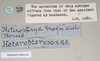 CollectionObject 1558875; NHMUK(SF IMPORT DUPLICATE) 845210, e0fca43f-b9f6-484d-b9d3-c94223e31fea: copyright Natural History Museum, London. male, data labels of Heteropteryx grayii (paralectotype). (CollectionObject).