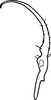 Stylus: !! display not done !! on Typhlocyba transviridis Christian, 1953: Stylus. (Observation).