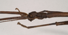 CollectionObject 1559487; NHMUK(SF IMPORT DUPLICATE) 844641, 811fb9f4-dfcf-4168-a10d-a1c7d39c3d64: copyright Natural History Museum, London. male: head, lateral view (paratype). (CollectionObject).
