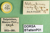 labels (paratype). Depicts CollectionObject 1502599; 43ad56ea-a6f4-42fe-b1d0-da5b53e27b25, a CollectionObject.