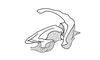 Sciponacris trichilae Descamps, 1978: Fig. 119. phallic complex, epiphallus removed, lateral view. (Otu).