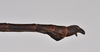 CollectionObject 1558576; NTUC 709 and barcoded specimens, 93d36653-c881-422a-9af7-b37747fc2d15: copyright NTUC. male: end of abdomen, lateral view of Entoria miyakoensis (syntype). (CollectionObject).
