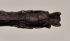 CollectionObject 1598210; 88413392-e6fa-4453-b088-89b2a99cef5a, QM T258501: copyright QM. male: end of abdomen, ventral view (paratype). (CollectionObject).