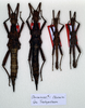 CollectionObject 1563049; 1ea8698c-ac76-4ebe-a47e-56f928da3c58: copyright NMW, Vienna. male and female (paratypes). (CollectionObject).;CollectionObject 1563050; feb82ffd-8c24-450a-94bc-998f59ec8ab1: copyright NMW, Vienna. male and female (paratypes). (CollectionObject).;CollectionObject 1563051; 3adcce3e-d771-49b5-96cc-f55a3d7e4710: copyright NMW, Vienna. male and female (paratypes). (CollectionObject).